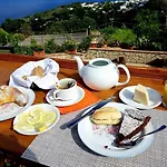 Alojamento de Acomodação e Pequeno-almoço Il Grappolo Anacapri (Isola di Capri)