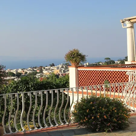 Il Grappolo Anacapri (Isola di Capri)