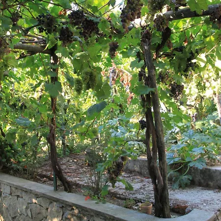 Il Grappolo Bed & Breakfast