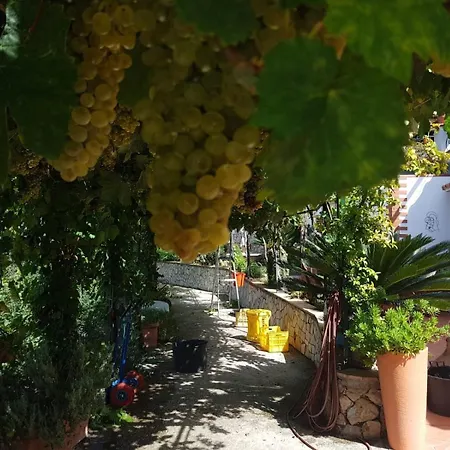 Il Grappolo Oda ve Kahvaltı Anacapri (Isola di Capri)