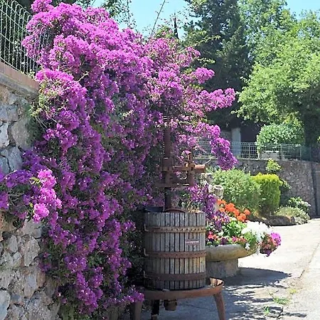 Il Grappolo Ανακάπρι