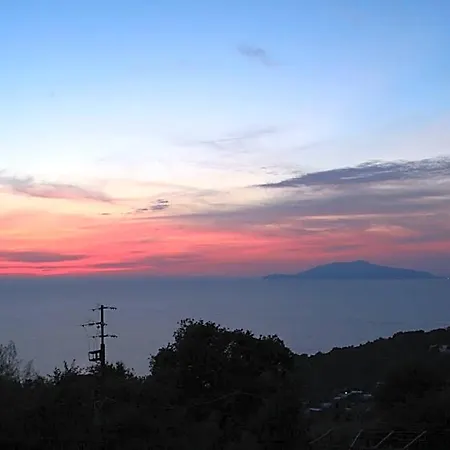 Il Grappolo Frühstückspension Anacapri (Isola di Capri)