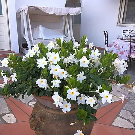 Il Grappolo Frühstückspension 3*