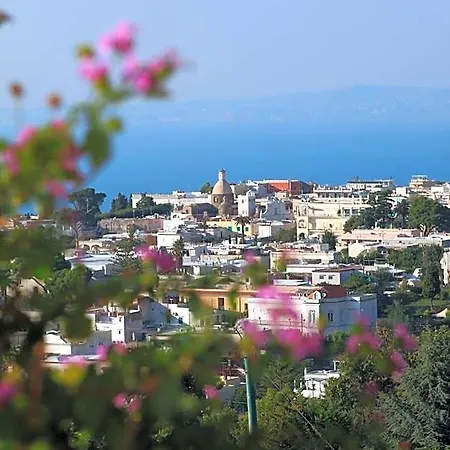 Il Grappolo Bed and Breakfast