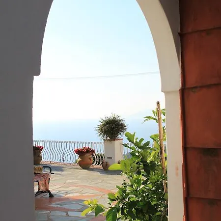 Il Grappolo Anacapri (Isola di Capri)