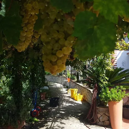 Il Grappolo Anacapri (Isola di Capri)