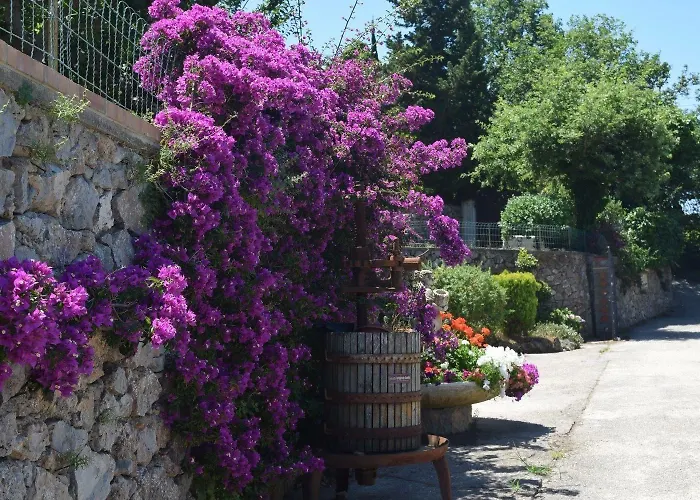 Il格拉珀露住宿加早餐酒店 住宿加早餐酒店 阿纳卡普里