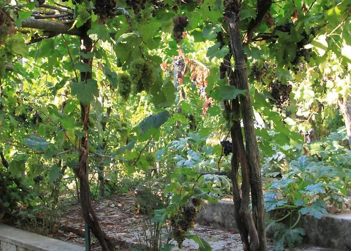 Il格拉珀露住宿加早餐酒店 住宿加早餐酒店