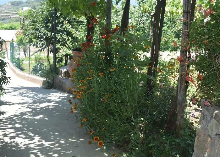 Il格拉珀露住宿加早餐酒店 阿纳卡普里