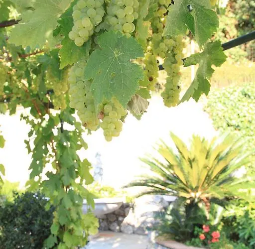 Il格拉珀露住宿加早餐酒店 阿纳卡普里