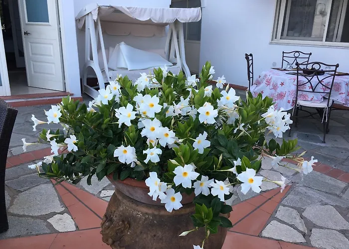 住宿加早餐酒店 Il格拉珀露住宿加早餐酒店 阿纳卡普里