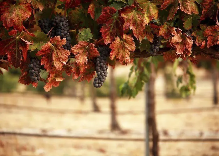 Il格拉珀露住宿加早餐酒店 住宿加早餐酒店