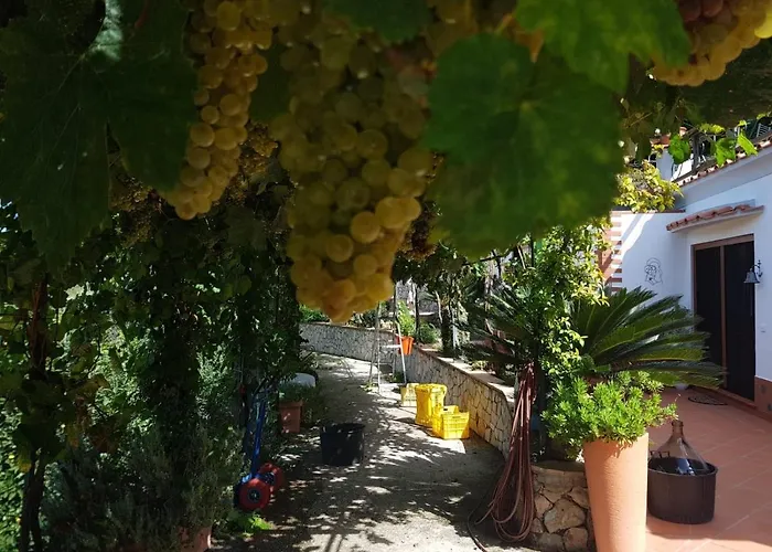 Il格拉珀露住宿加早餐酒店 阿纳卡普里