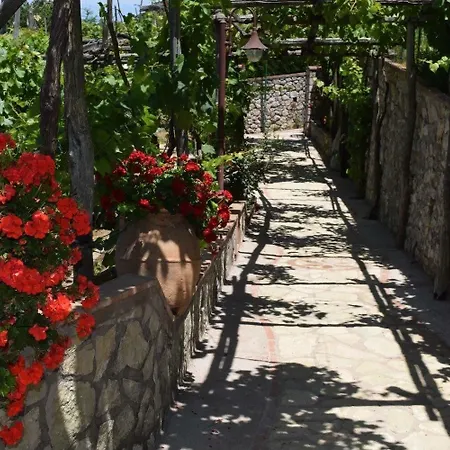 Il Grappolo Anacapri (Isola di Capri)