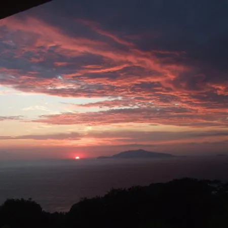 Oda ve Kahvaltı Il Grappolo