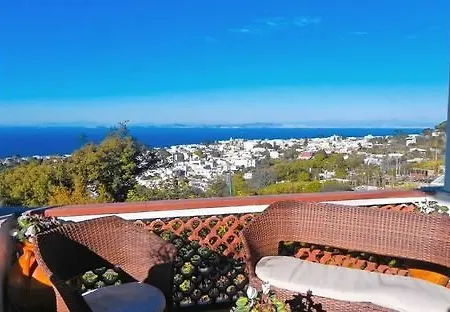 Il Grappolo Anacapri (Isola di Capri)